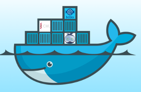 docker nzbget nas directory